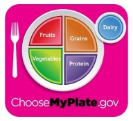 image of Choose My Plate .gov