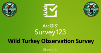 Wild Turkey Survey Link