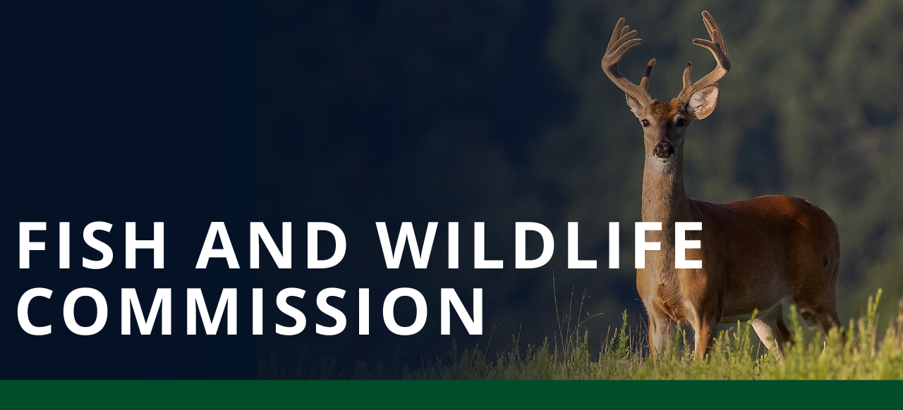 Tennessee Fish & Wildlife Commission Tennessee Fish & Wildlife Commission