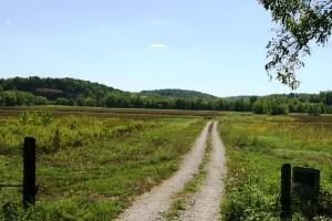 Tennessee's Wildlife Action Plan