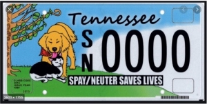 Animal Friendly Grant License Plate example