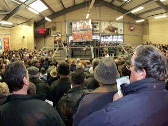 AgBusLivestockmarket