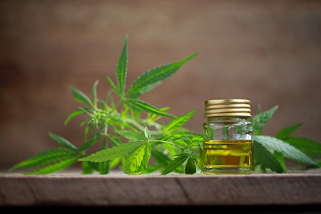 Hemp and Food Safety Hemp and Food Safety