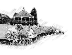 Iris Garden and Gazebo