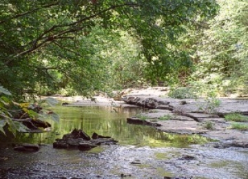 Sevenmile Creek