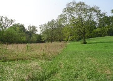 Grassland at Ellington