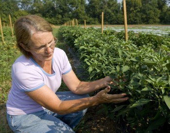 AgFarOrganics AgFarOrganics