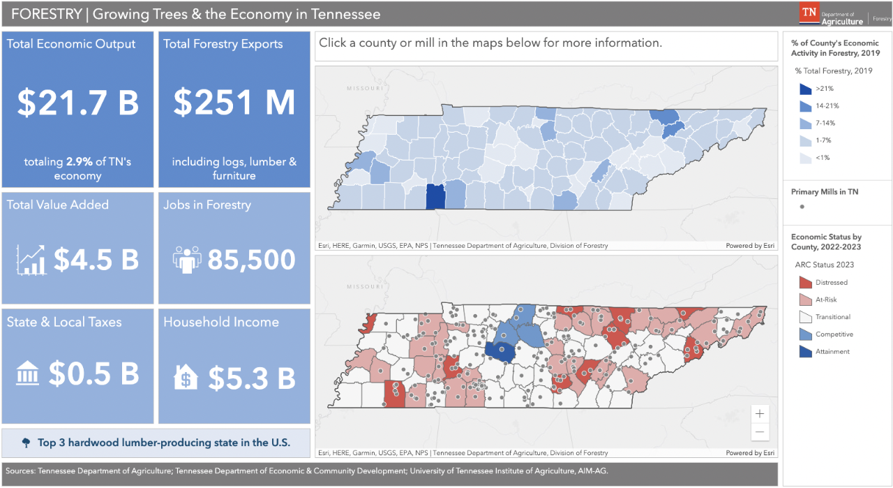 Forest Industry Ecomomic Impact Dashboard