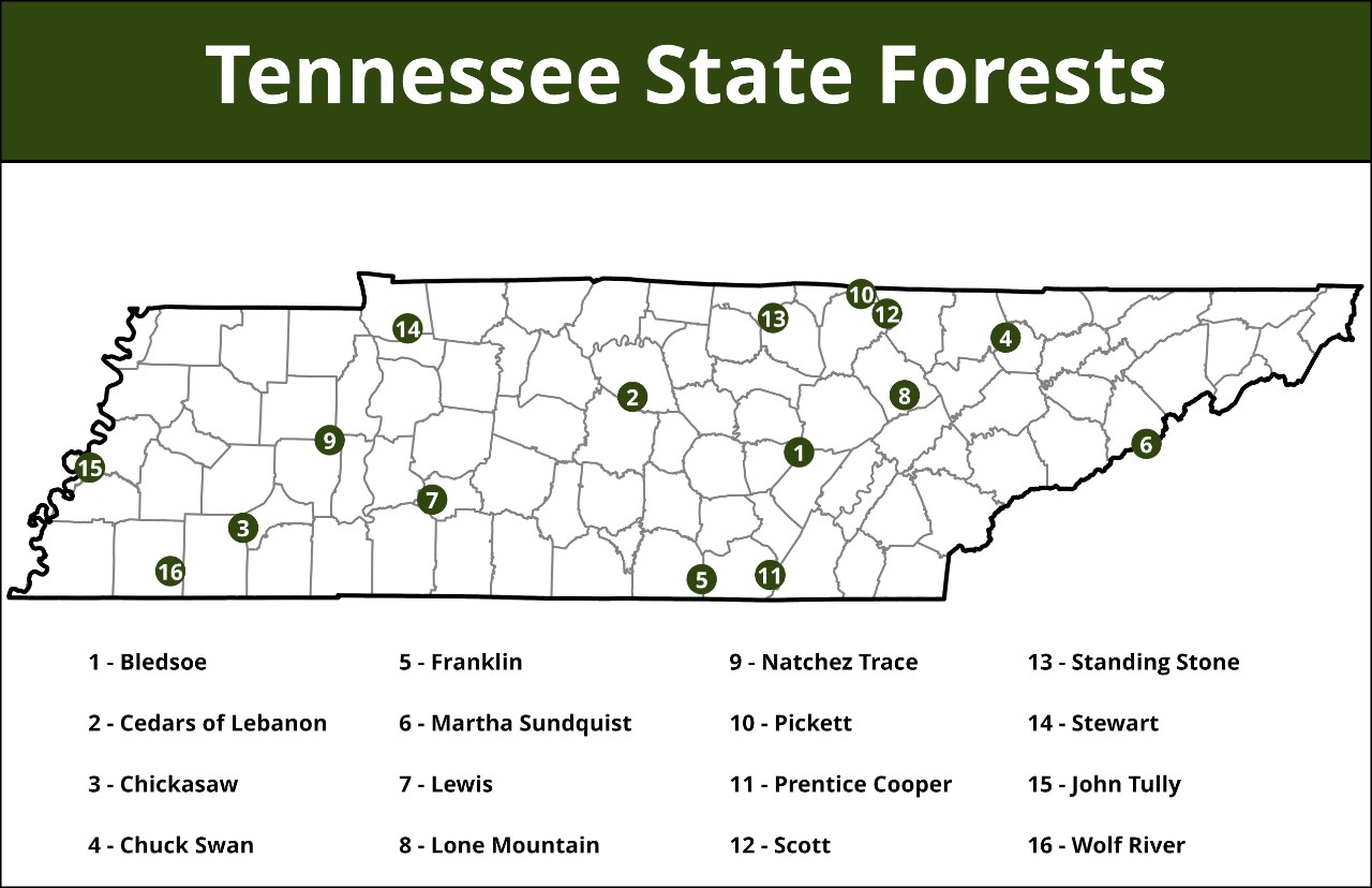 Map of Tennessee's State Forest locations as points, numbered 1 through 16. Map of Tennessee showing locations of 16 state forests, numbered 1 to 16, with a legend listing each forest name.