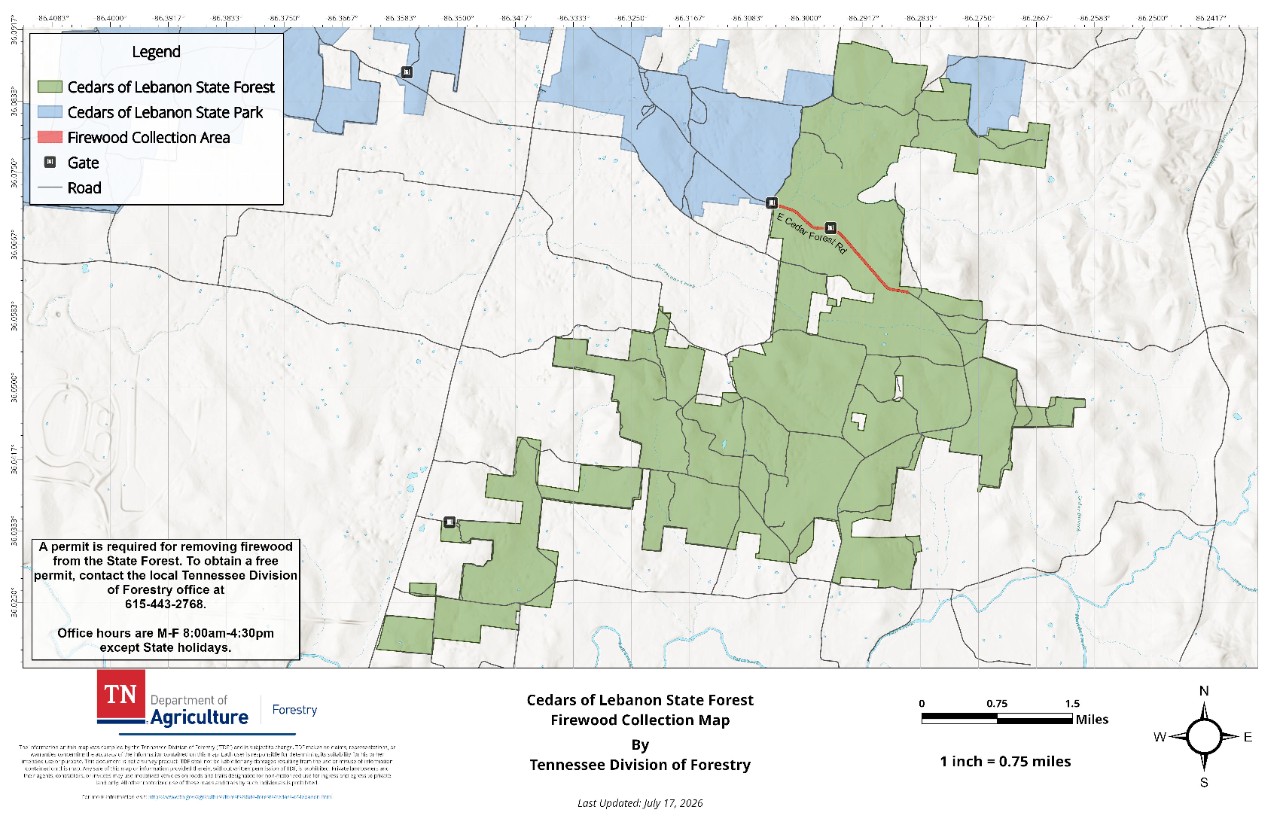 Cedars of Lebanon_Firewood Collection Map_20260717 Cedars of Lebanon State Forest Firewood Collection Map, published by the Tennessee Division of Forestry. The map shows the forest boundary, surrounding roads, gate locations and the designated firewood collection area along E Cedar Forest Road, with the adjacent Cedars of Lebanon State Park to the north.