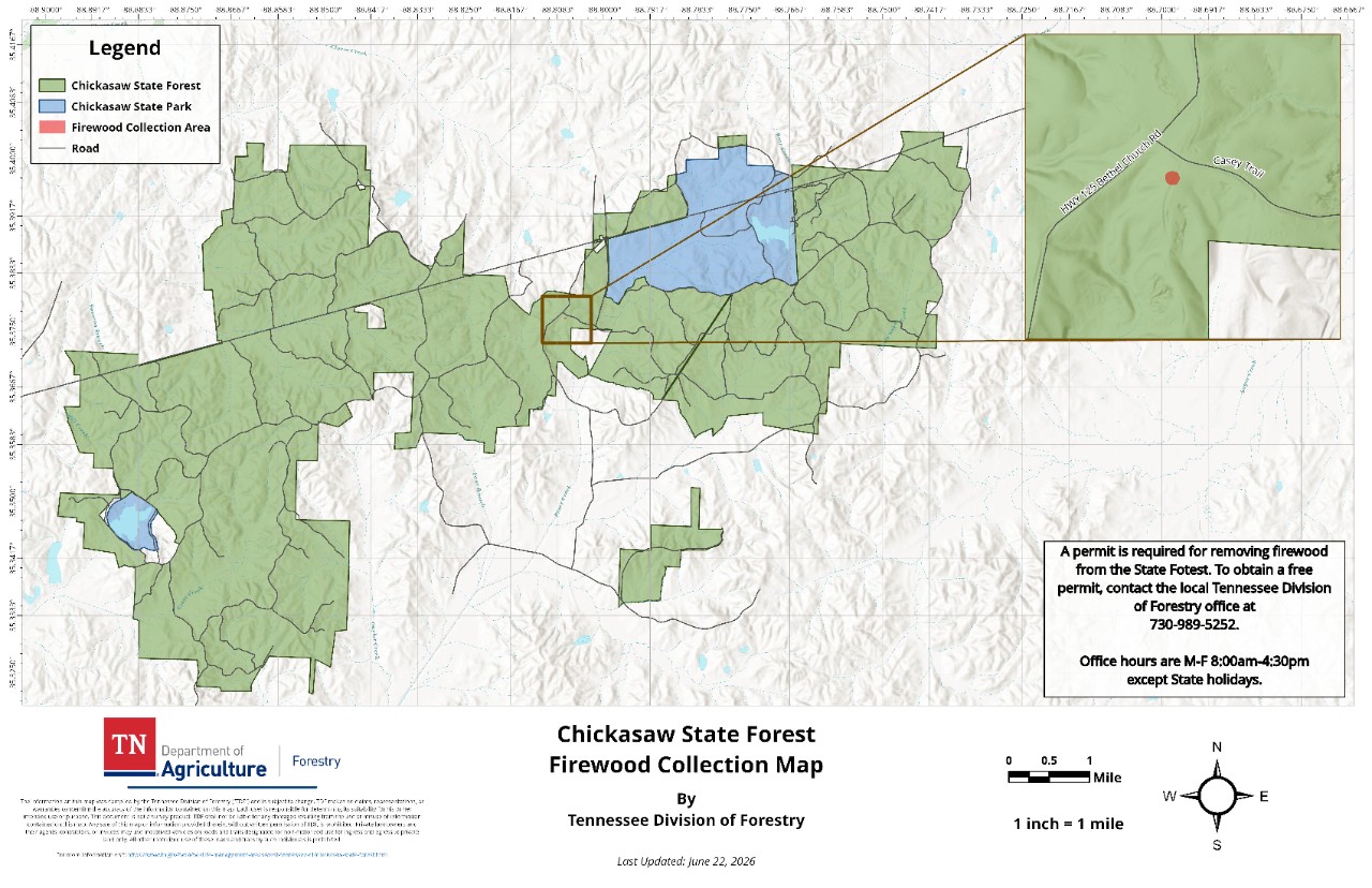 Chickasaw State Forest Firewood Collection Map, published by the Tennessee Division of Forestry. The map shows the forest boundary, internal road network, the adjacent Chickasaw State Park and the designated firewood collection area near Highway 125 and Casey Trail, with an inset detail view of the harvest site.