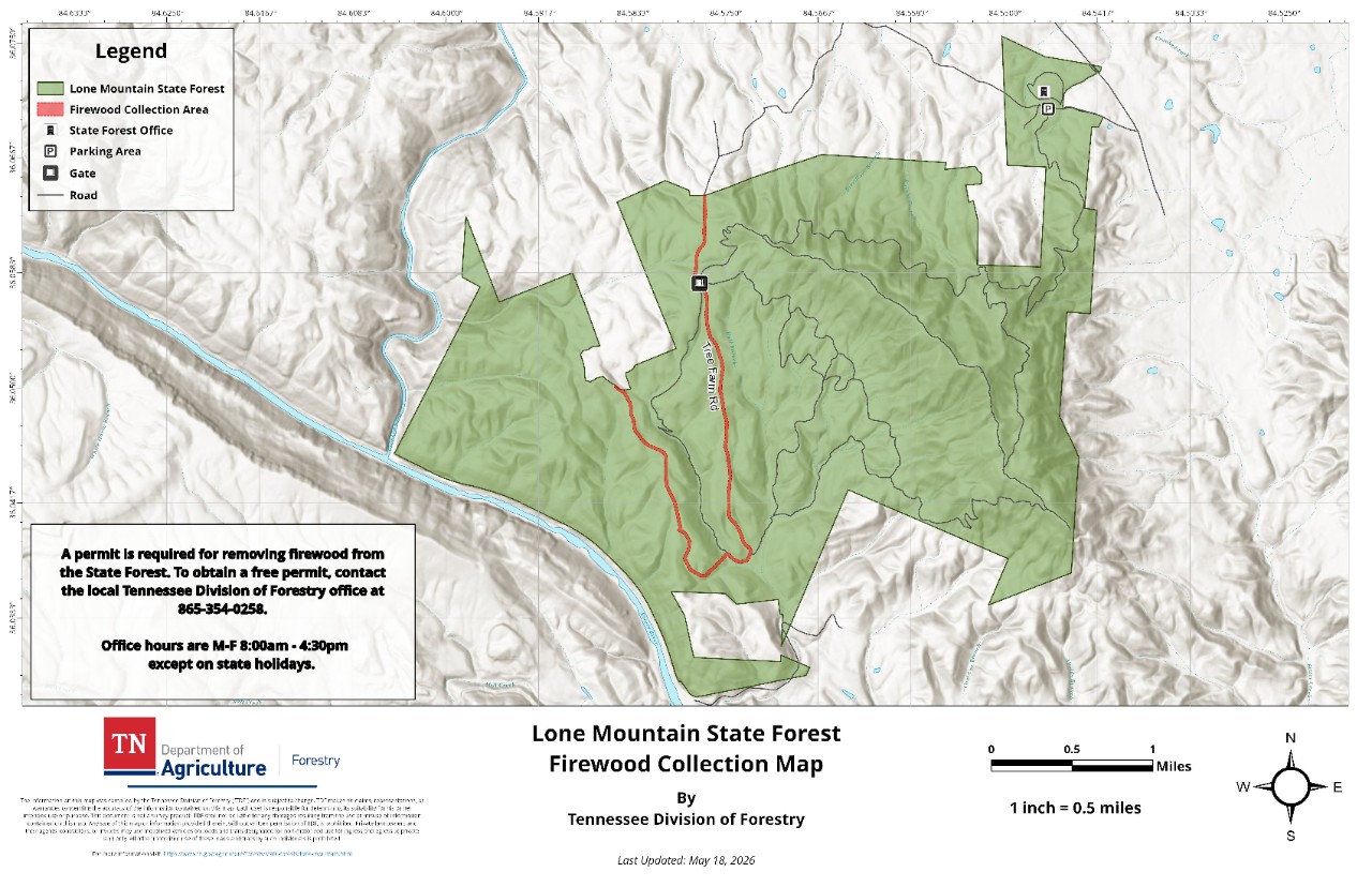 Lone Mountain State Forest Firewood Collection Map, published by the Tennessee Division of Forestry. The map shows the forest boundary, internal road network, the State Forest Office, parking area, gate locations and the designated firewood collection area along Tree Farm Road.