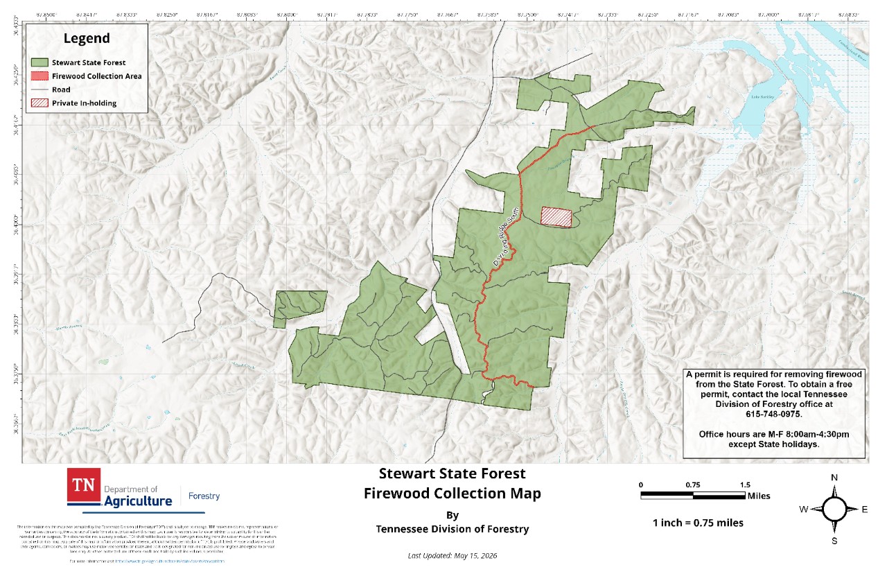 Stewart_Firewood Collection Map_20260515 Stewart State Forest Firewood Collection Map, published by the Tennessee Division of Forestry. The map shows the forest boundary, internal road network, a private in-holding and the designated firewood collection area along Dividing Ridge South.