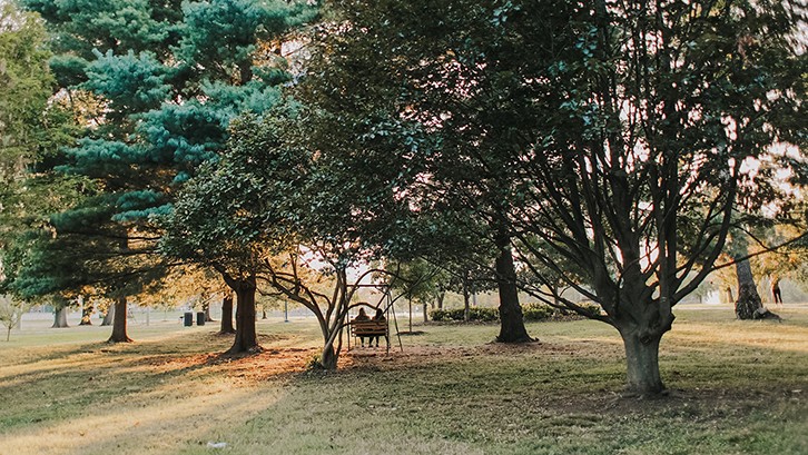 Couple sitting in a swing in an urban park with trees and sun background Park in Nashville at sunset: couple sits on wooden bench swing under tall green trees, with long shadows across the grassy field.