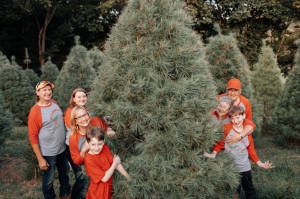Wildwood Christmas Tree Farm Wildwood Christmas Tree Farm