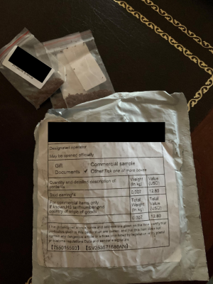 Unsolicited Seeds Received in the Mail unsolicited seeds
