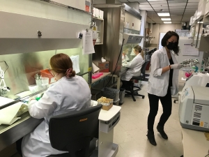 Kord Animal Health Laboratory microbiologists Kord Animal Health Laboratory microbiologists