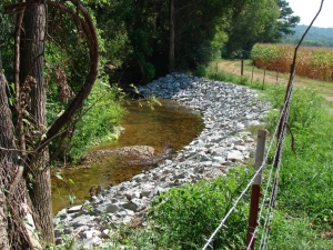 Perry County Farm Stream Bank