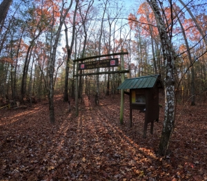 Lone Mountain State Forest
