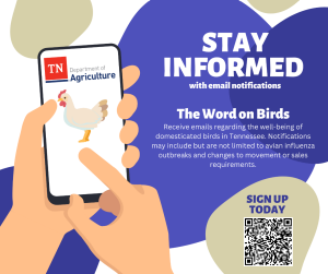 Sign Up for Poultry Alerts from Animal Health