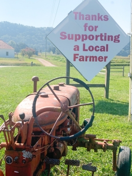 Myers Farm in Hawkins County Tennessee Myers Farm in Hawkins County Tennessee