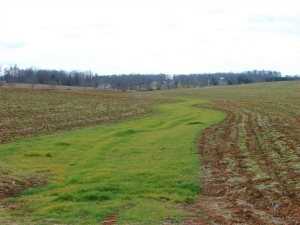 Tennessee Waterway in Washington County