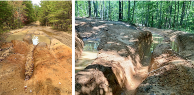 Pickett State Forest Damaged Roads Pickett State Forest Damaged Roads