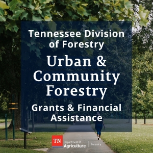 Tennessee Urban Forestry Grant Opportunities