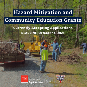 Grants Now Available for Wildfire Prevention and Community Education