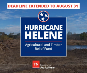Hurricane Helene Agricultural and Timber Relief Fund Application Deadline Extended to Aug. 31 Hurricane Helene Agricultural and Timber Relief Fund Application Deadline Extended to Aug. 31