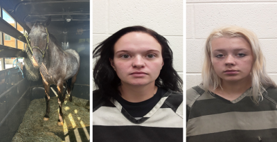Stolen Horse Recovered, Two Arrested Following Agricultural Crime Unit Investigation in Monroe County Stolen Horse Recovered, Two Arrested Following Agricultural Crime Unit Investigation in Monroe County