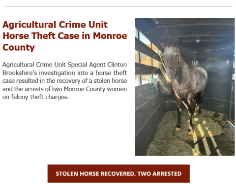 Stolen Horse Recovered, Two Arrested Following Agricultural Crime Unit Investigation in Monroe County