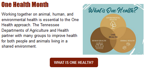 One Health