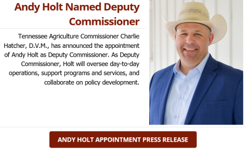 Andy Holt Named Deputy Commissioner