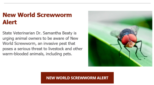 Animal Health Alert for New World Screwworm