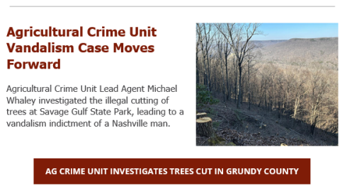 Grand Jury Indicts Nashville Man for Alleged Illegal Timber Cutting in Savage Gulf State Park