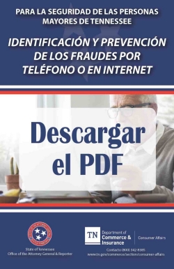 phone-internet-scams-sp Identificación y prevención de los fraudes por teléfono o en internet