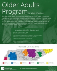 Image of printable Older Adult Program onepager.  Information in this document is published in an accessible format elsewhere on this same page.