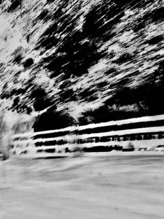 a blurred black and white photo that shows a tree and a fence, with the blurriness conveying a sense of motion, almost like the photo was taken from a moving car out the window.