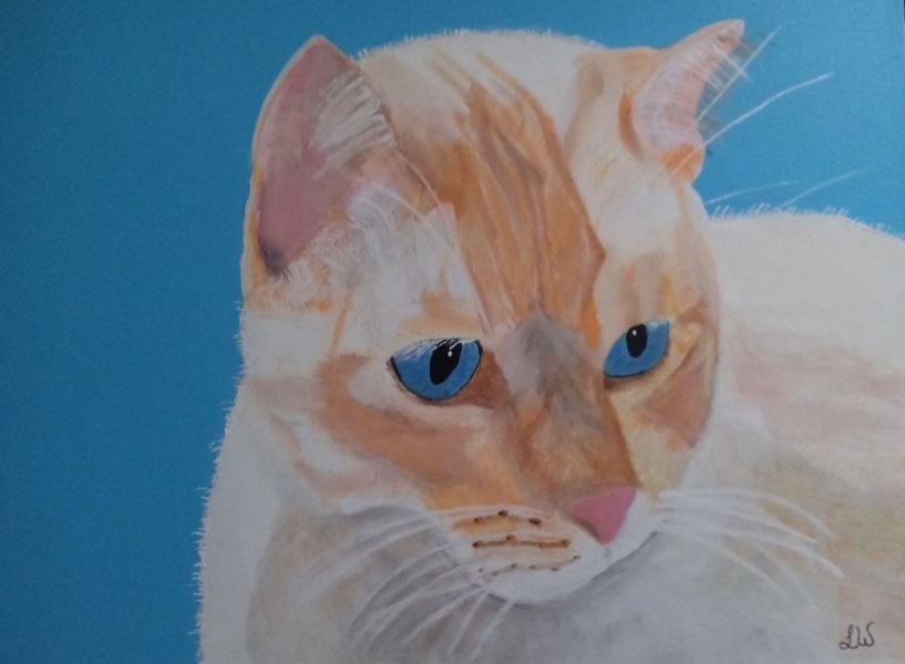 Mozart – LeAnn Wilson A soft, painterly portrait of a cat named Mozart features a cream-colored coat with warm orange markings and striking blue eyes. The fur is depicted with delicate brushstrokes, giving it a textured, natural look. Mozart's gaze is calm and slightly intense, with a pink nose and fine whiskers adding to the realism. The background is a smooth, vibrant blue, contrasting beautifully with the cat's warm tones.