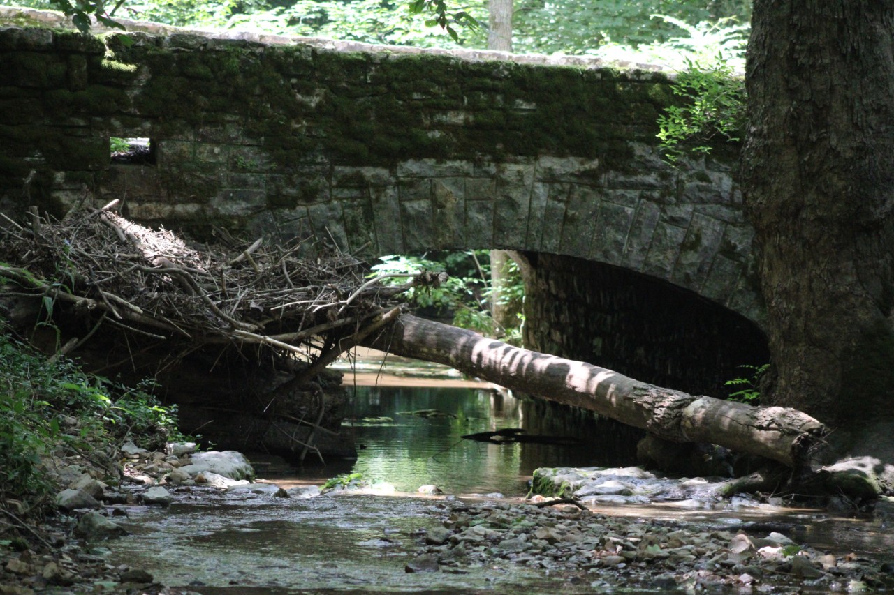 A photograph shows a small stone bridge crossing over a shallow creek in a wooded area. The curved stone arch sits above slow-moving water, with rocks and a fallen tree trunk lying beneath it. Soft green light filters through the trees, and moss and rough stone textures cover the bridge and surrounding area.