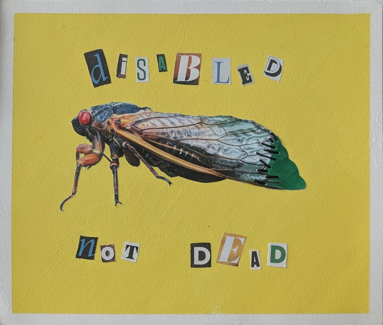 A collage on a bright yellow background shows a large cicada placed in the center, with detailed wings and a red eye. Cut-out letters from different sources spell “disabled” above and “not dead” below in mixed fonts and colors. The layered paper pieces and bold contrast make the message stand out clearly.