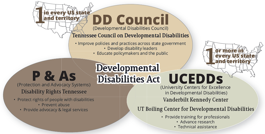 Tennessee's Developmental Disabilities Network 3 overlapping ovals show the connected relationship between councils on developmental disabilities, university centers for excellence in disabilities, and protection and advocacy agencies, which are created in each U.S. state by the DD Act