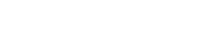 Tennessee State Government, TN Emergency Management Authority (TEMA) logo