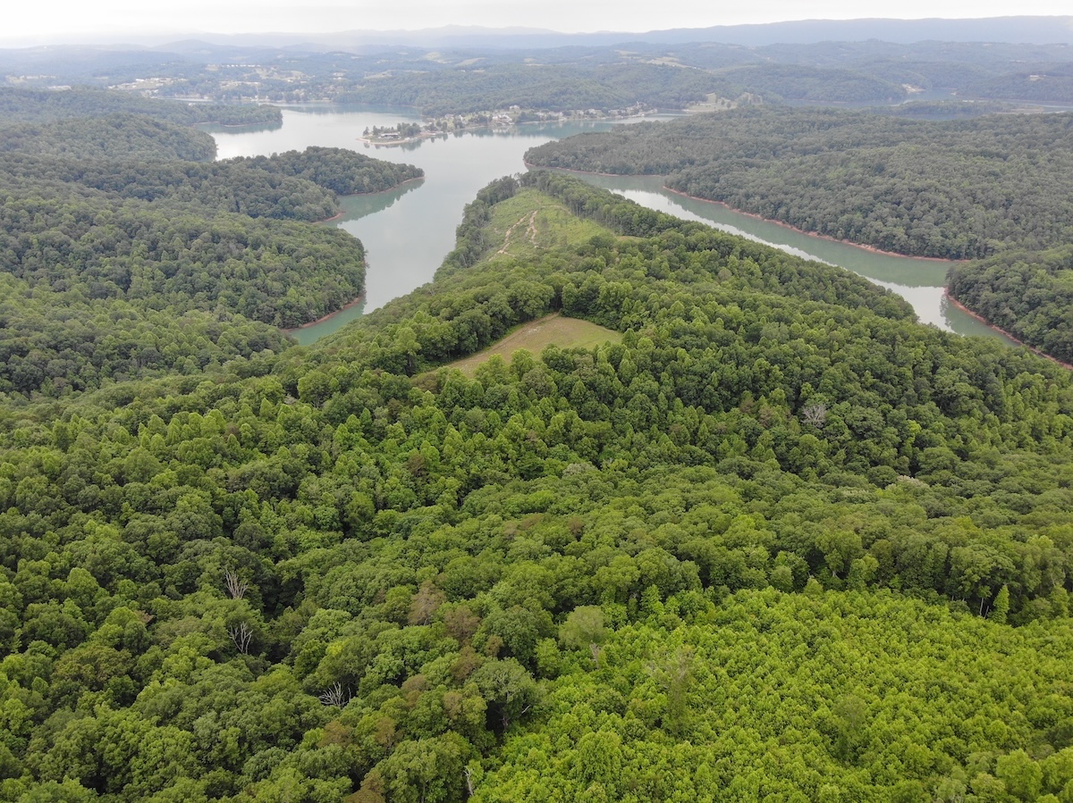 Expansive view of Chuck Swan State Forest featuring dense green forests, a winding river or lake with calm blue-green water, and a prominent tree-covered ridge extending into the water, set against a backdrop of rolling hills and an overcast gray sky.