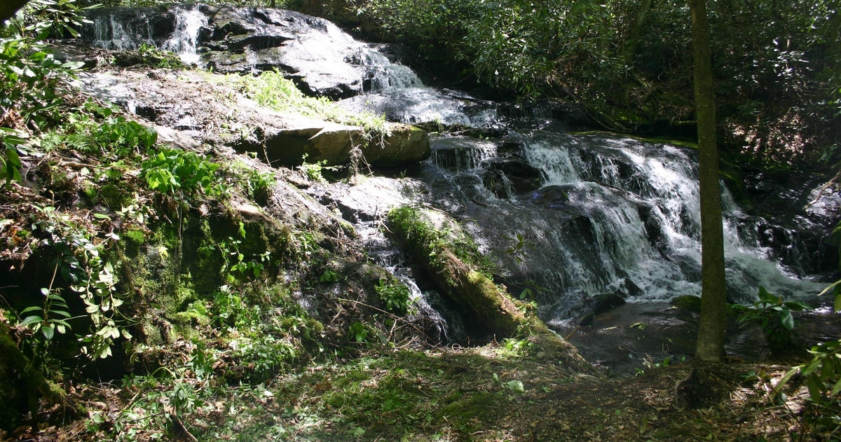 A small waterfall cascading over dark, wet rocks surrounded by lush green vegetation, moss, and a tree trunk, creating a tranquil forest scene.