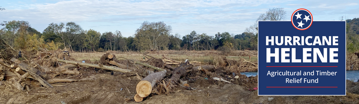 Hurricane Helene damage linking to Emergency Response & Relief sources