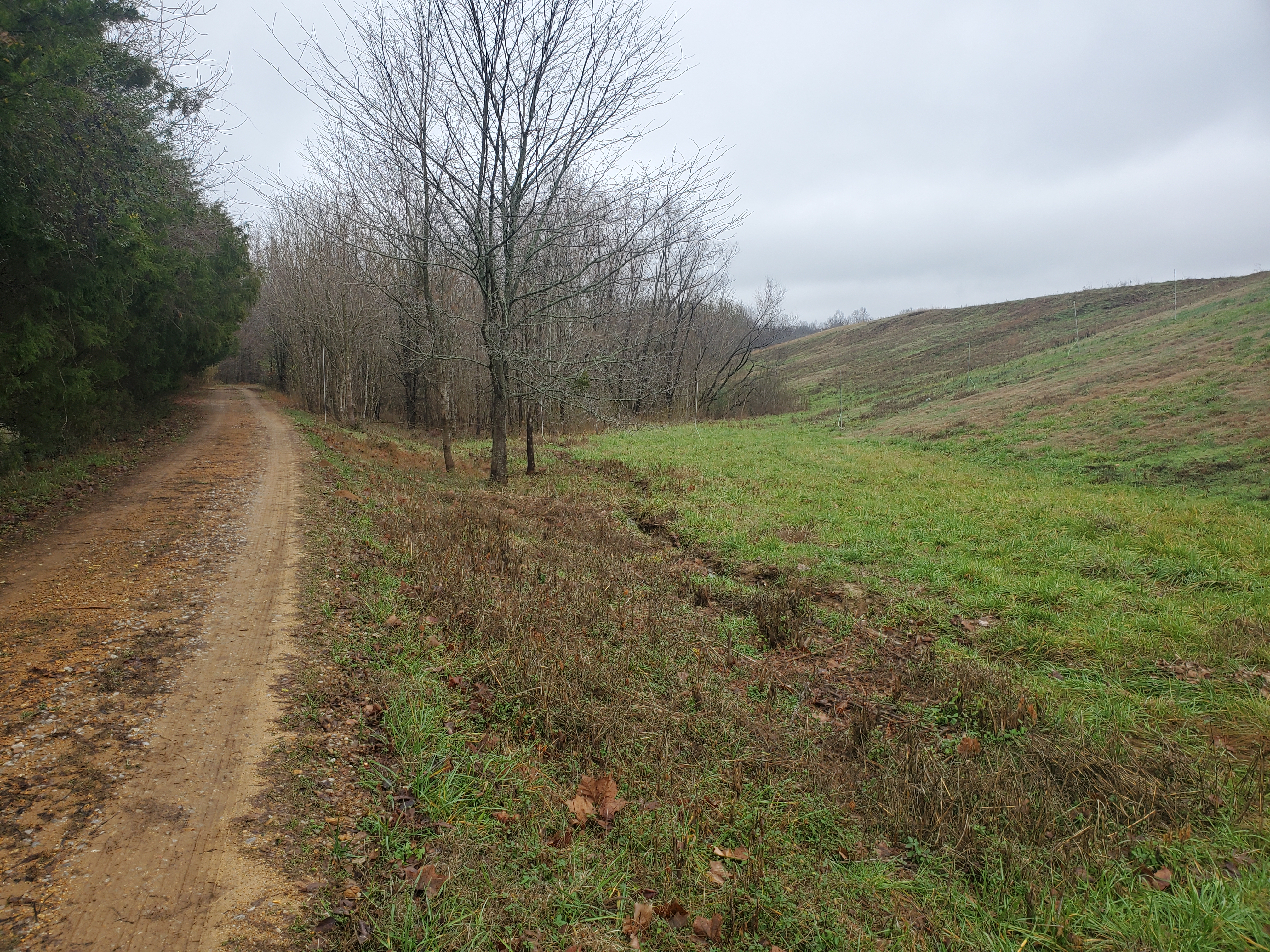 Photo 1 of road through Blaylock and Brown Landfill