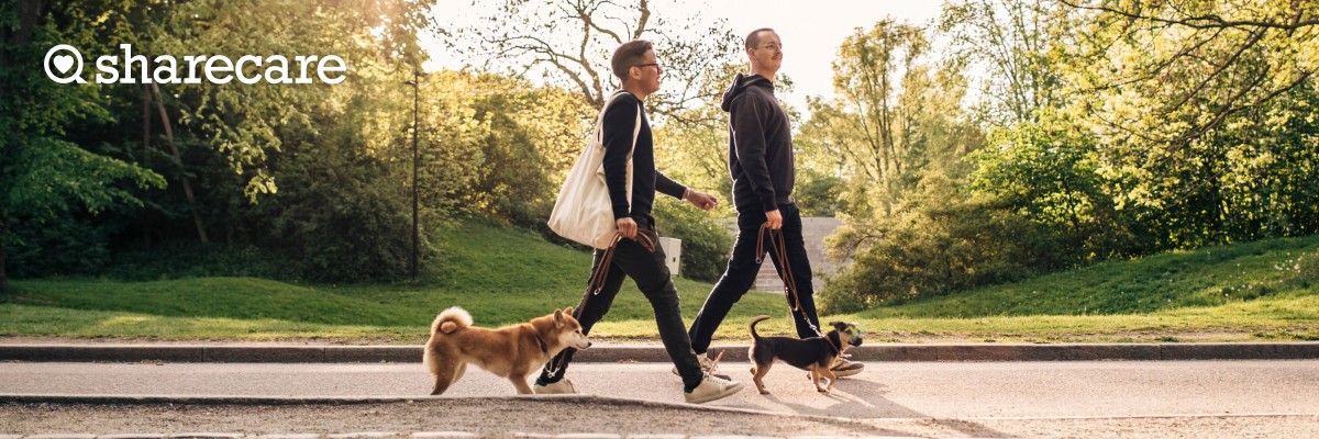 Two men walking dogs in the park