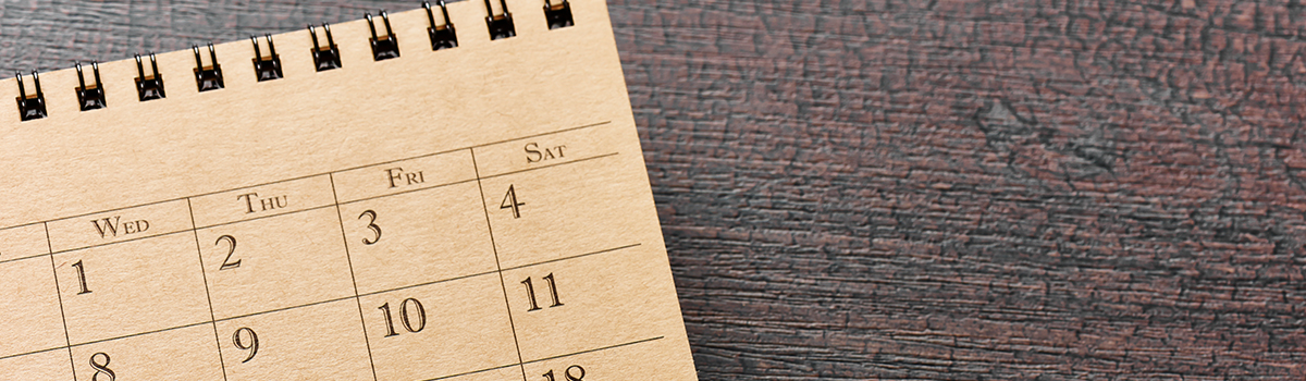 Monthly & Fiscal Year Tax Collections